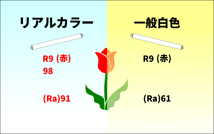 演色性の説明画像②